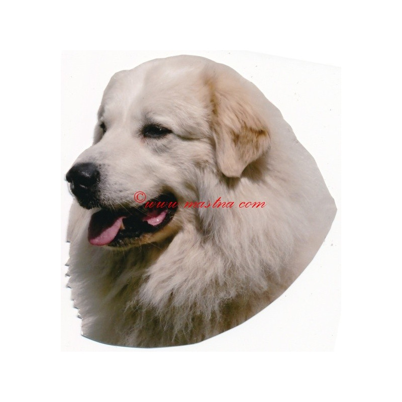 Samolepka pyrenejský horský pes