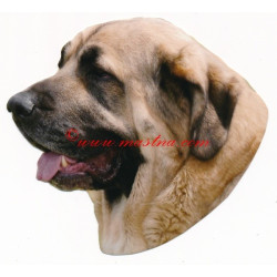 Samolepka španělský mastin