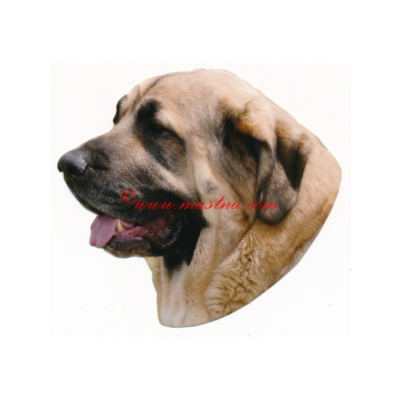 Samolepka španělský mastin