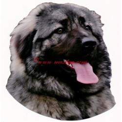 Samolepka šarplaninec