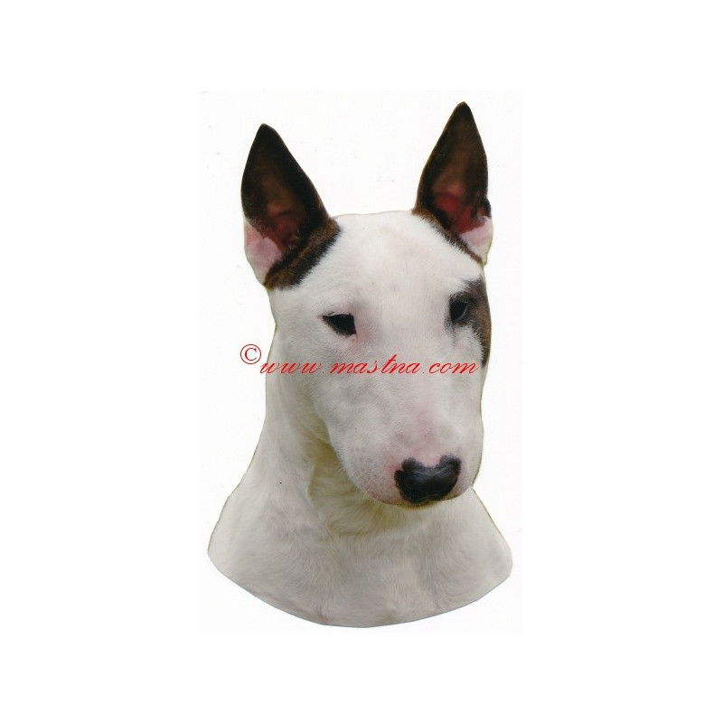 Samolepka  bulteriér miniaturní