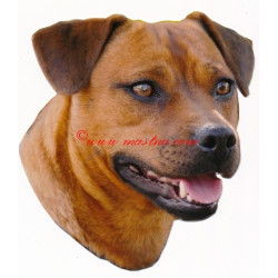 Samolepka  patterdale teriér