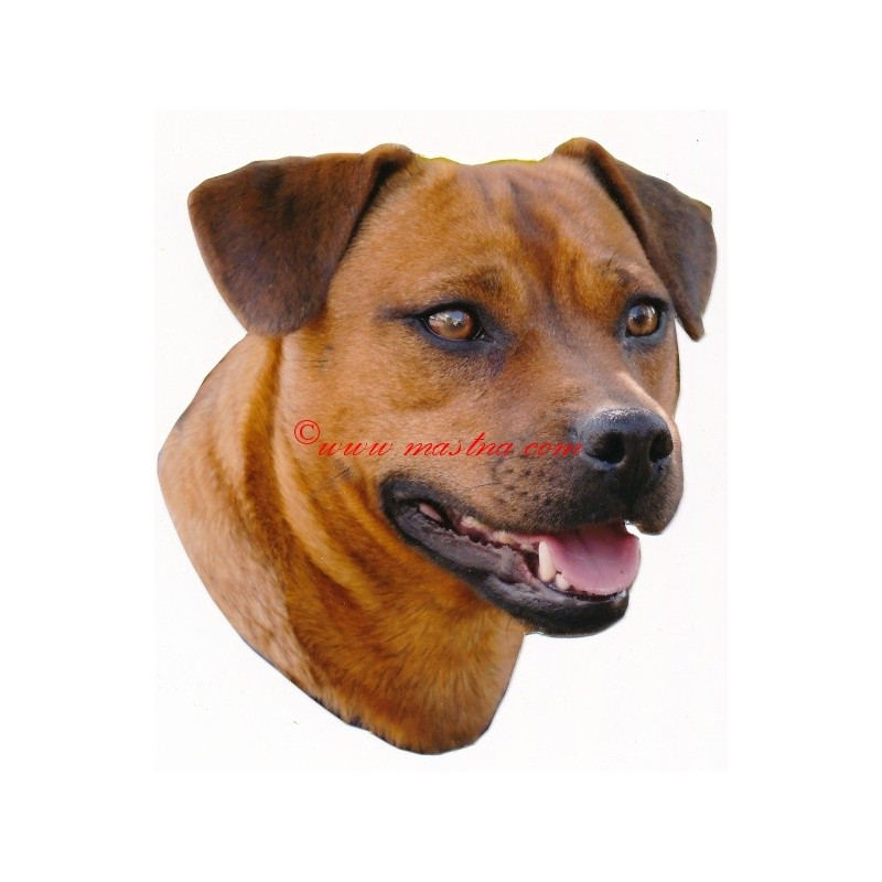 Samolepka  patterdale teriér