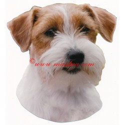 Samolepka  Jack Russel teriér, Parson