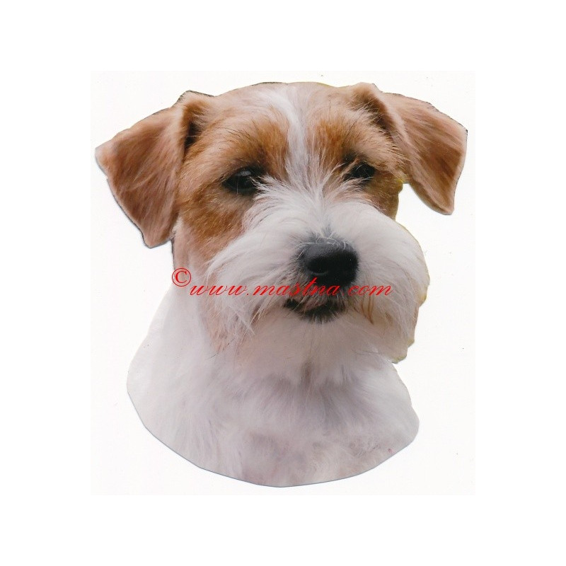 Samolepka  Jack Russel teriér, Parson