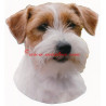 Samolepka  Jack Russel teriér, Parson