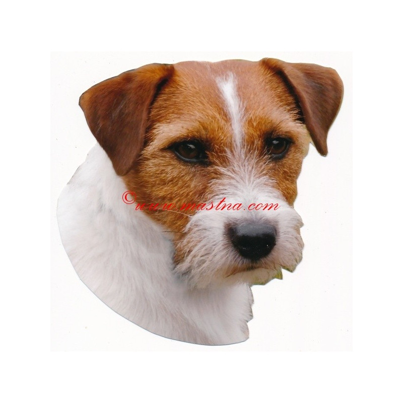 Samolepka  Jack Russel teriér, Parson