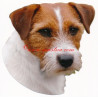 Samolepka  Jack Russel teriér, Parson