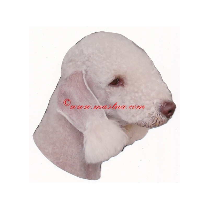 Samolepka  bedlington teriér