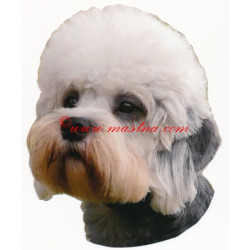 Samolepka  Dandie Dinmont teriér
