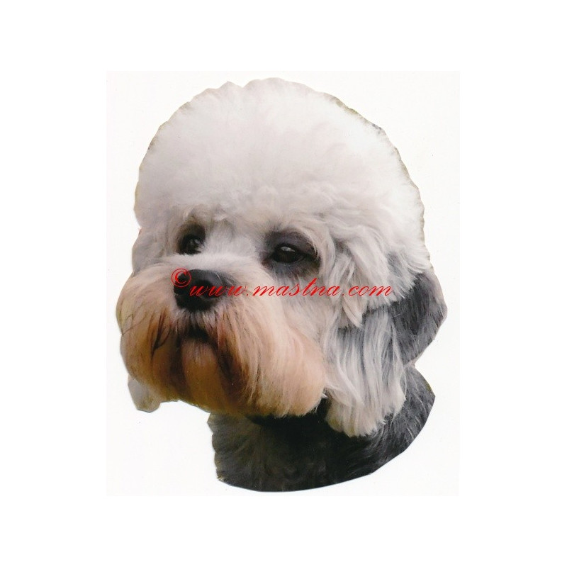 Samolepka  Dandie Dinmont teriér