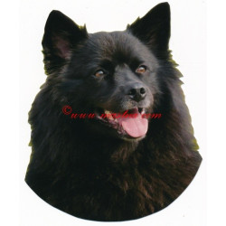 Samolepka  německý špic velký