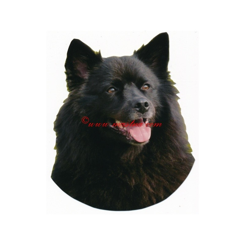 Samolepka  německý špic velký