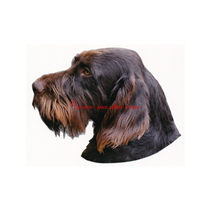 Samolepka český fousek, německý ohař