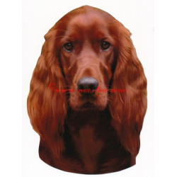 Samolepka irský setr