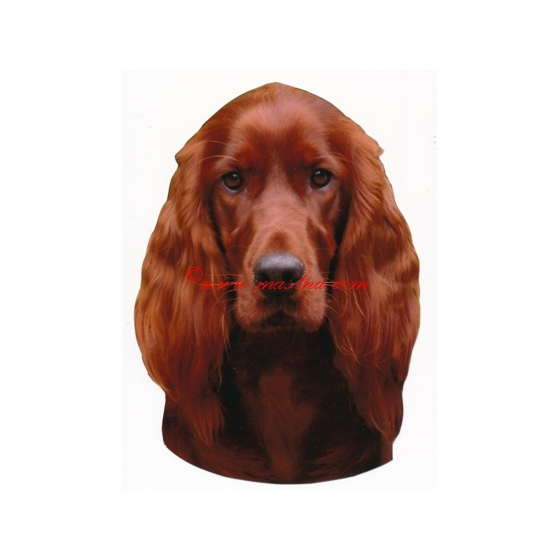 Samolepka irský setr