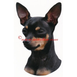 Samolepka pražský krysařík