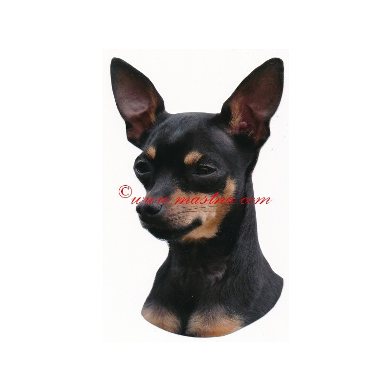 Samolepka pražský krysařík