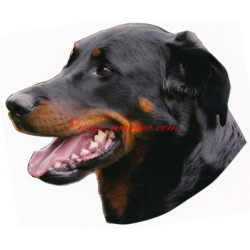 Samolepka beauceron
