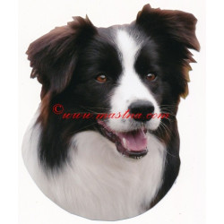 Samolepka border kolie