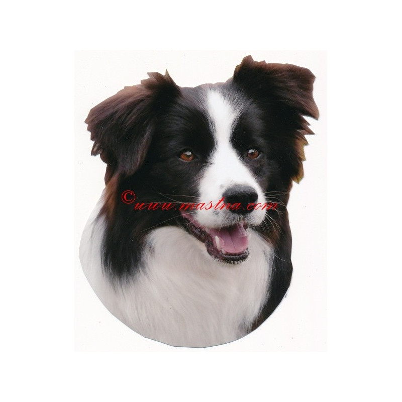 Samolepka border kolie