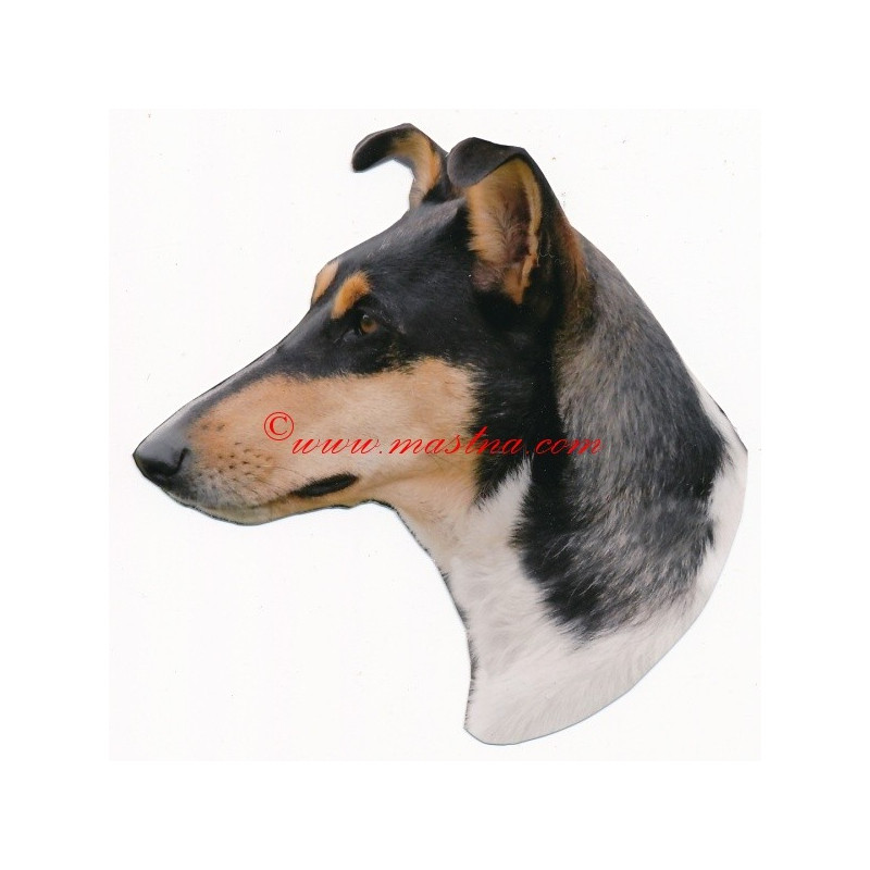 Samolepka kolie krátkosrstá