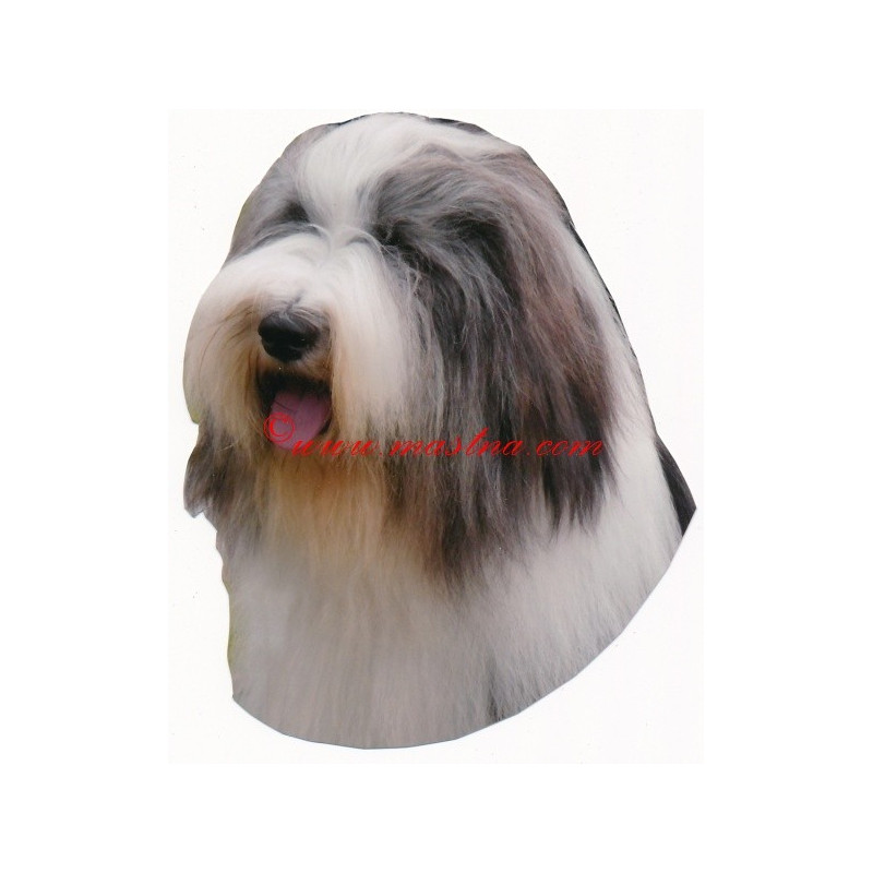 Samolepka bearded kolie, vousatá kolie