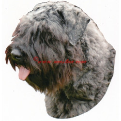 Samolepka flanderský bouvier