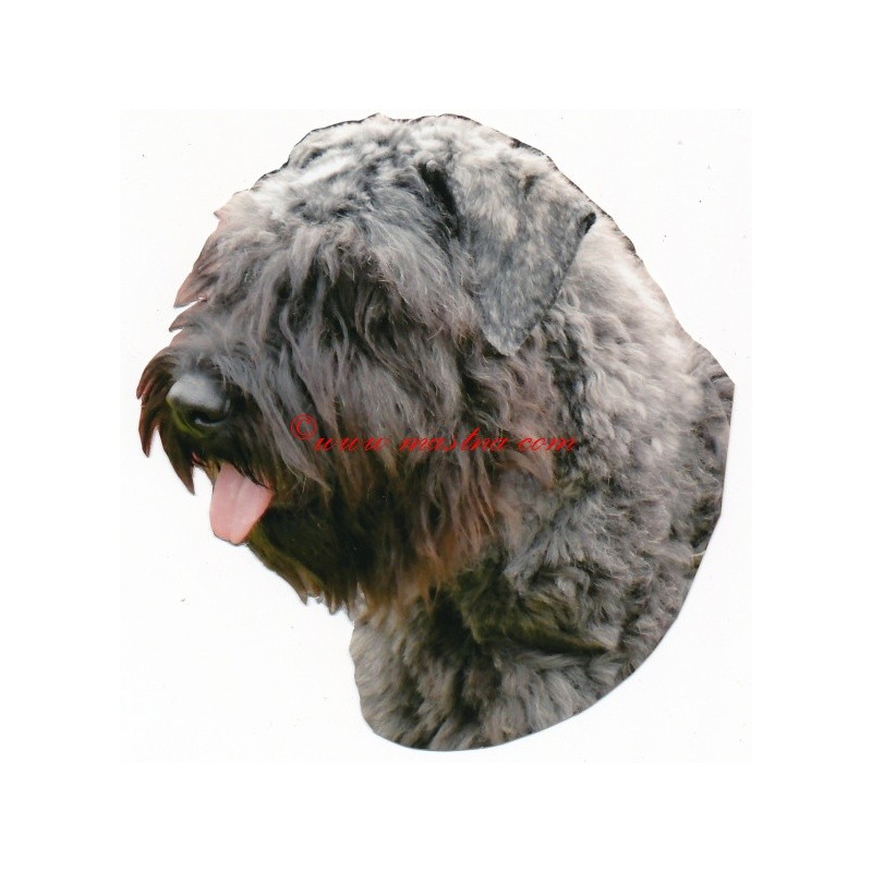 Samolepka flanderský bouvier