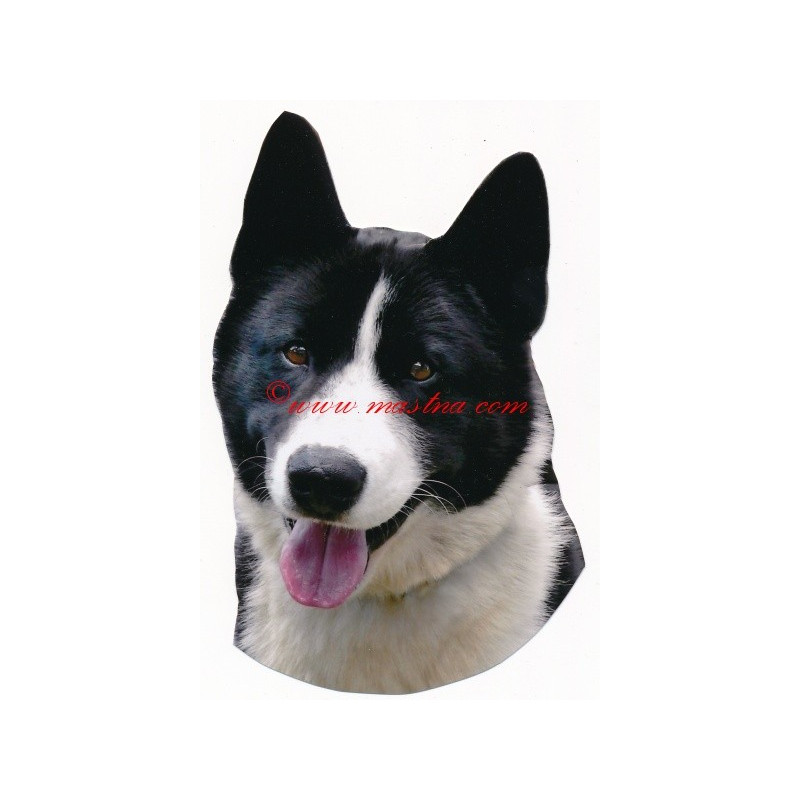 Samolepka karelský medvědí pes