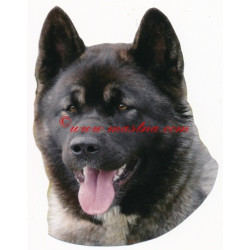 Samolepka americká akita