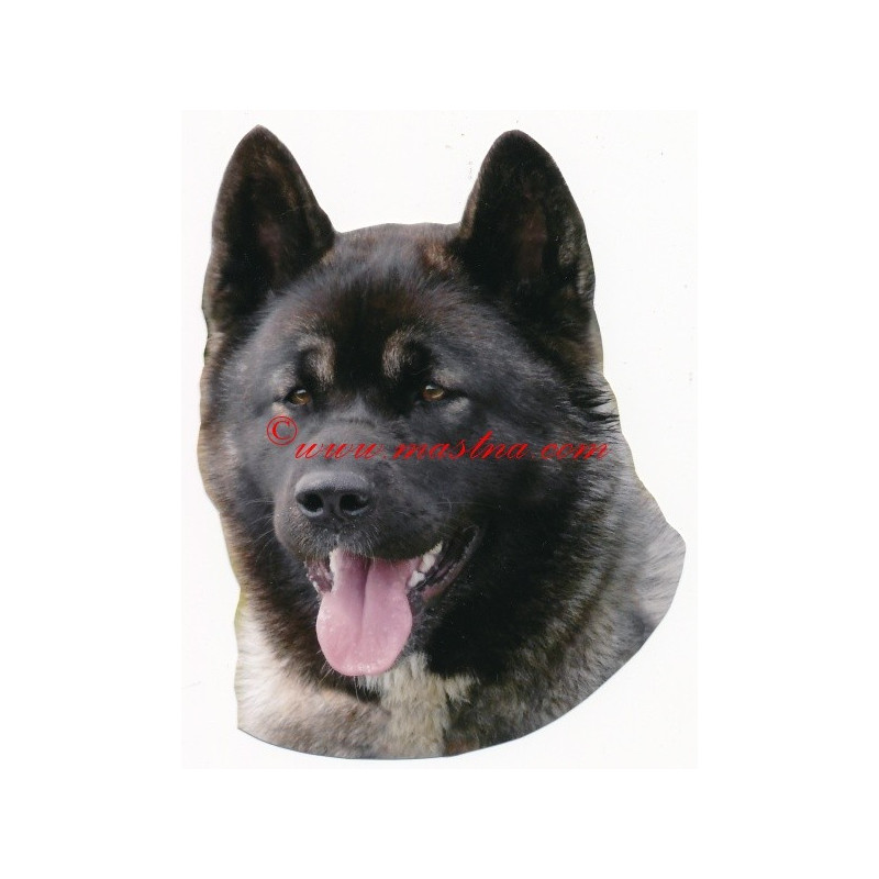 Samolepka americká akita