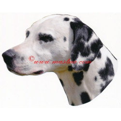 Samolepka dalmatin