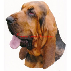 Samolepka bladhaund, bloodhound