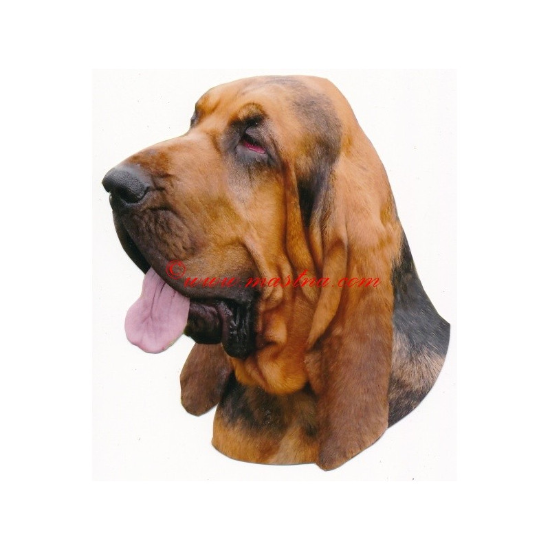 Samolepka bladhaund, bloodhound
