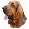 Samolepka bladhaund, bloodhound