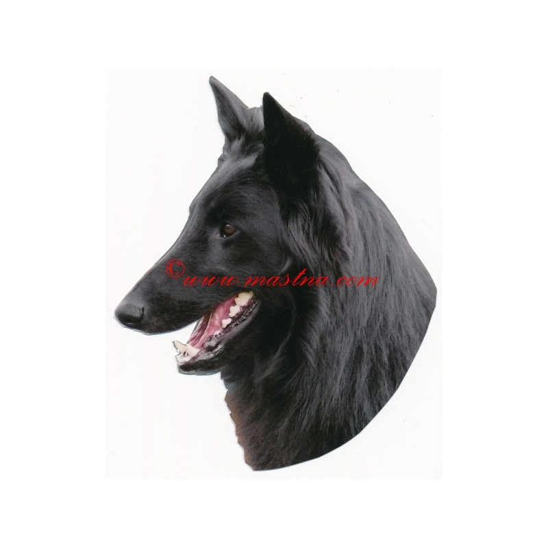 Samolepka belgický ovčák groenendal