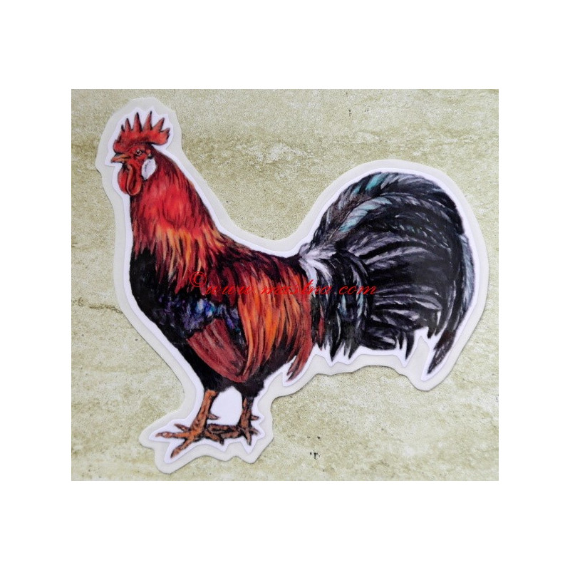 Samolepka kohout vlaška, drůbež