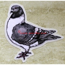 Samolepka holub moravský pštros - archiv