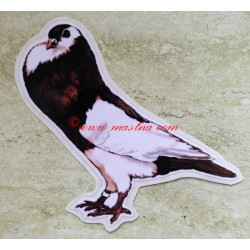 Samolepka holub český stavák