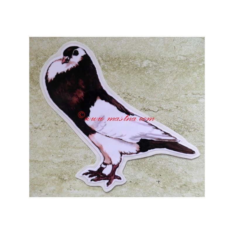 Samolepka holub český stavák