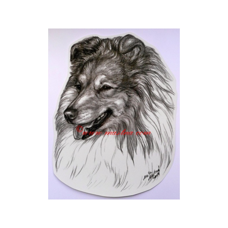 Samolepka šeltie, sheltie