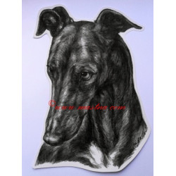 Samolepka galgo, greyhound, chrt