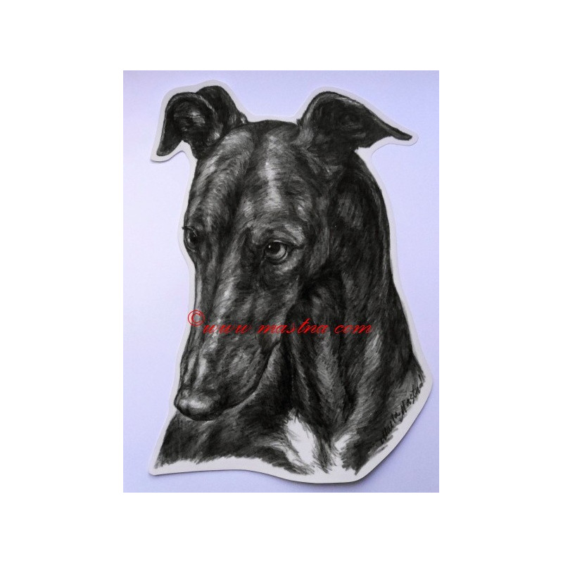 Samolepka galgo, greyhound, chrt