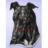 Samolepka galgo, greyhound, chrt