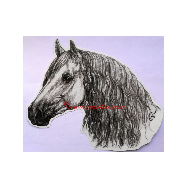 Samolepka andaluzan, pura raza, kůň, koně