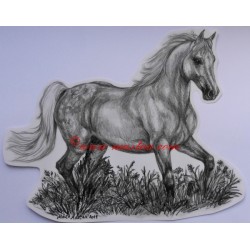Samolepka ashagya arab, kůň, koně