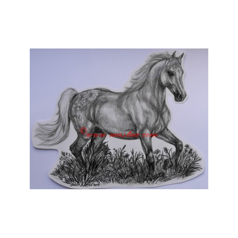 Samolepka ashagya arab, kůň, koně