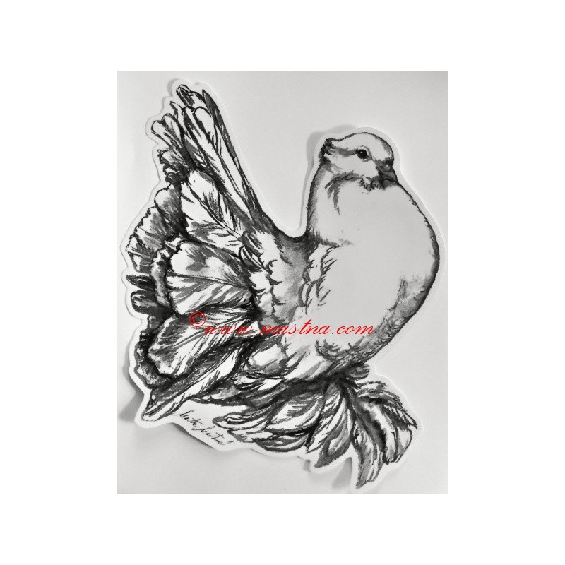 Samolepka holub pávík indický