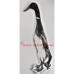 Samolepka kachna indický běžec